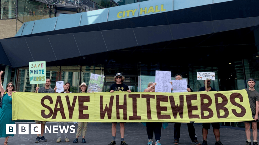 Tottenham women's green-belt plan gets green light