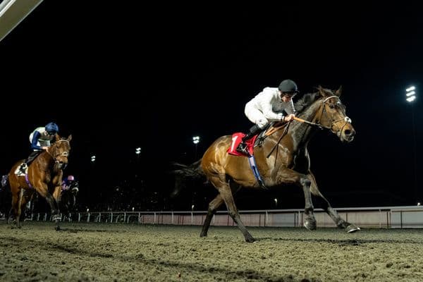 Constitution Hill given John Porter entry and set for Flat turf debut at Newbury – but who could he face in a competitive Group 3?