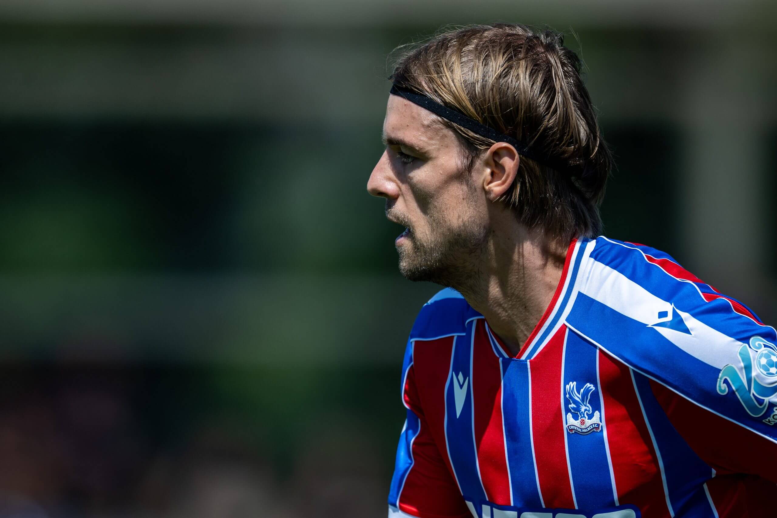 Who is Borna Sosa and why have Crystal Palace signed him?