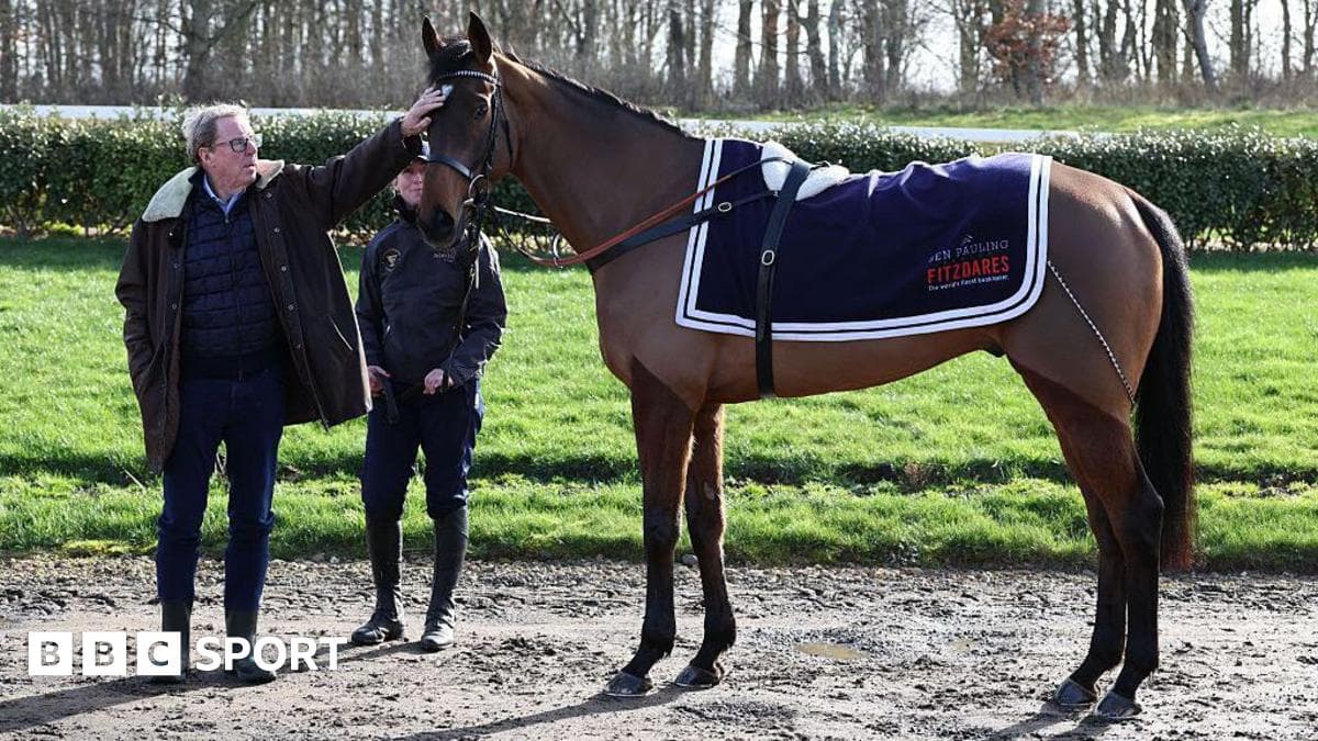 Dream come true: Redknapp eyes Jukebox Man Gold Cup win