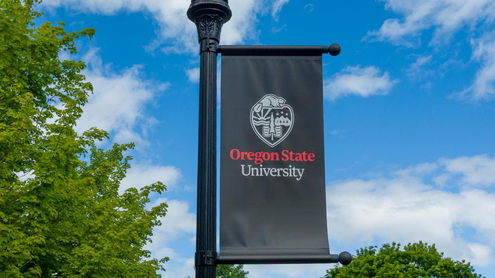 Raphinha criticizes referees after Barcelona's Champions League elimination, says club was 'robbed'