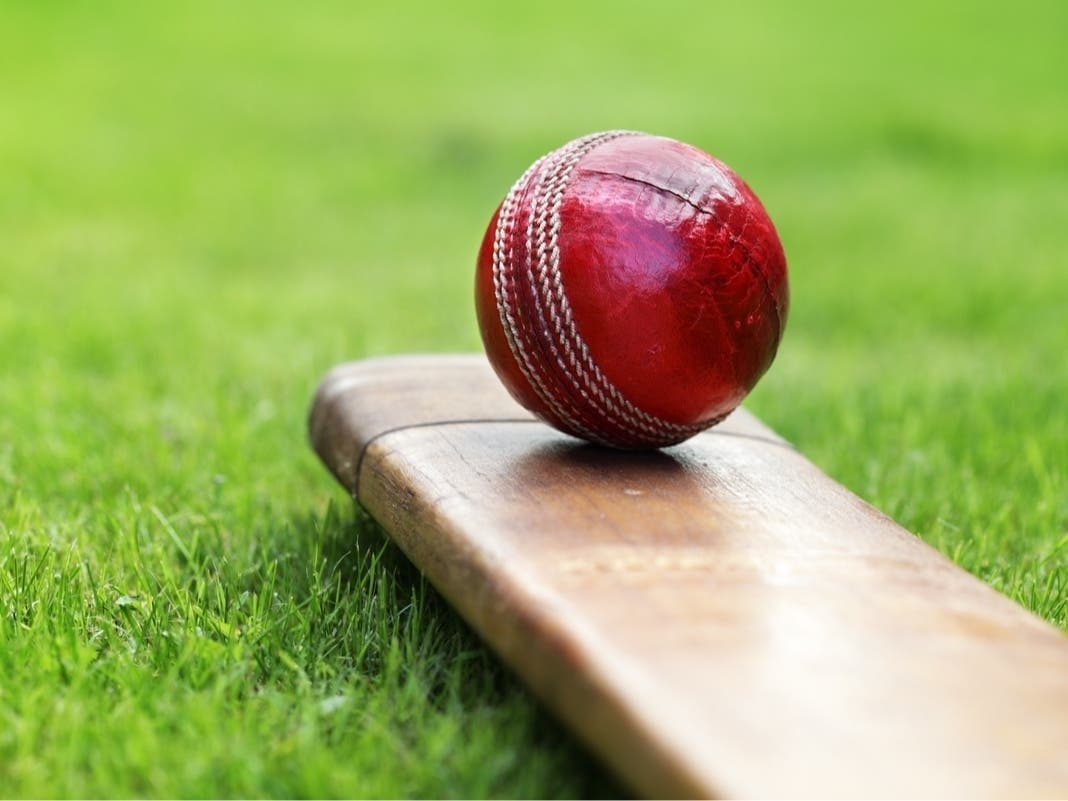 Cricket Coming To Pleasant Valley Park In Bernards Township
